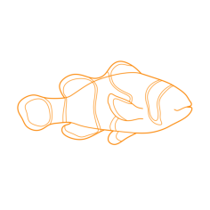 Animals Saltwater Fish Ocellaris Clownfish Engraving Svg Design, Free Vectors File